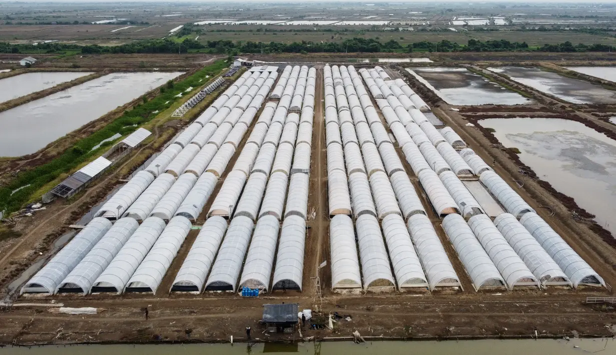 Penggunaan metode ini memungkinkan produksi garam dilakukan sepanjang tahun. (Aditya Irawan/AFP)
