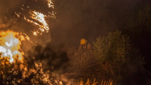 [Bintang] Los Angeles