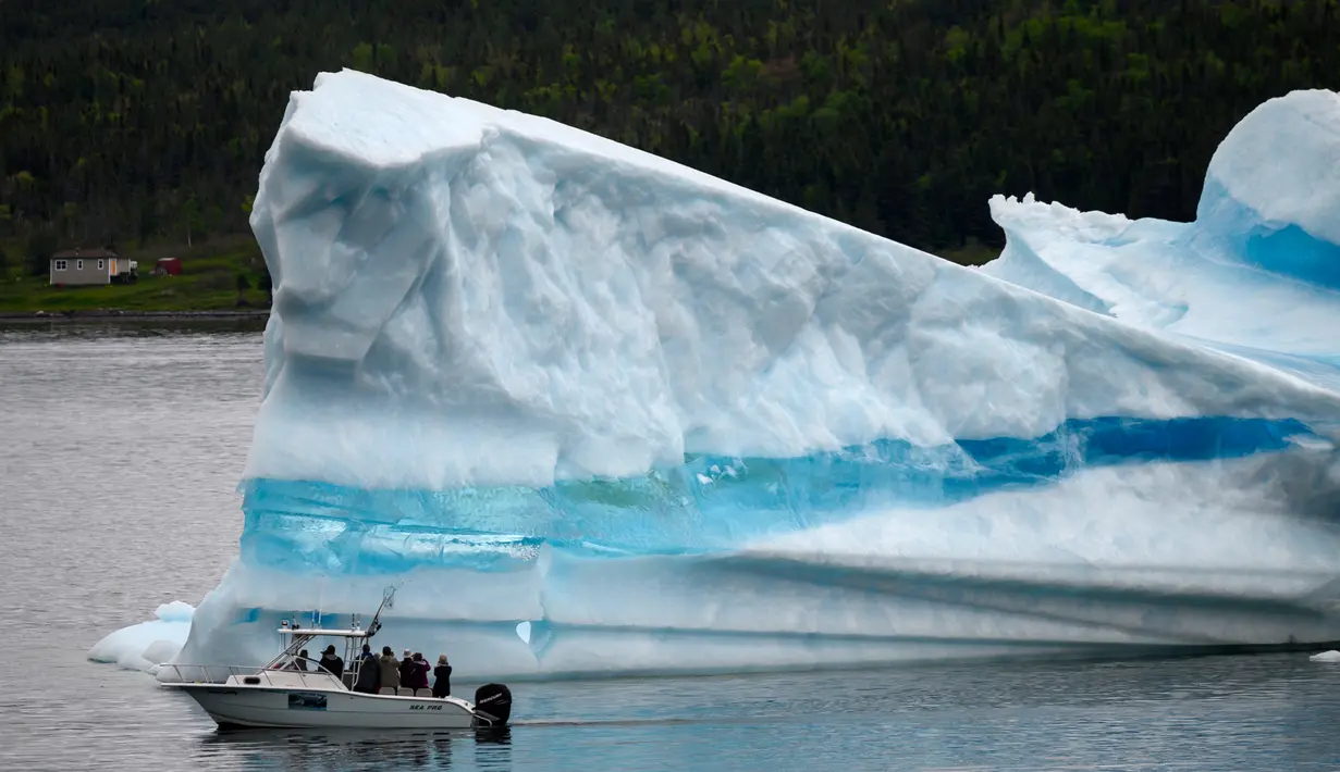 Kapal pariwisata melewati gunung es terapung di King's Point, Newfoundland, Kanada, 3 Juli 2019. Di tempat ini, wisatawan bisa melihat potongan gunung es yang mengapung di Samudera Atlantik. (Johannes Eisele/AFP)