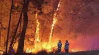 Hujan Bantu Padamkan Kebakaran Hutan Australia, 130 Titik Api Masih Membara