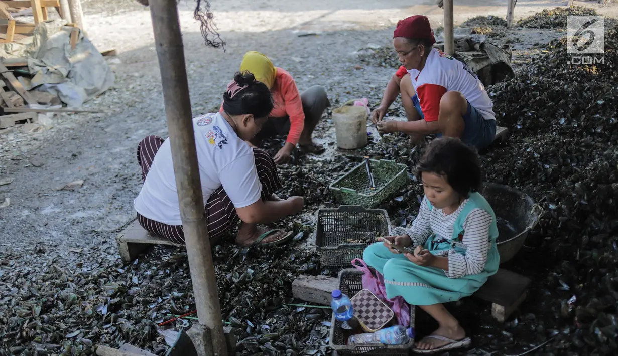 Seorang anak ikut menemani ibunya mengupas kerang hijau di Kampung Nelayan Muara Angke, Jakarta, Rabu (3/7/2019). Dengan penghasilan rata-rata Rp 30 ribu/hari, para buruh pengupas kerang hijau tersebut harus cukup memenuhi kebutuhan hidup keluarganya. (Liputan6.com/Faizal Fanani)