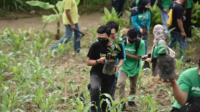 Aksi Siap Darling Tanam Pohon di Kudus