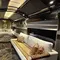 Menjajal Langsung The Nusantara Explorer, Kereta Wisata Bak Hotel Berbintang