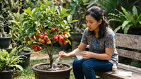 7 Cara Mengerdilkan Pohon Jambu Air agar Cepat Berbuah Meski Ditanam di Pot, Hemat Lahan