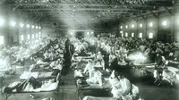 Penelitian pandemi flu 1918 atau lebih dikenal dengan flu Spanyol sepertinya mulai menemui titik terang