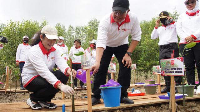 Taman Wisata Mangrove di Sumsel Siap Saingi Bali