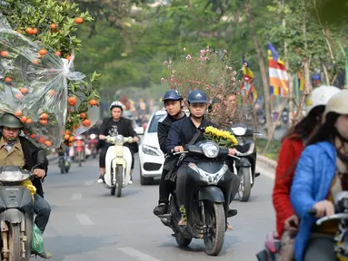 Warga mengangkut pohon Kumquat dan bunga Persik untuk menyambut Tahun Baru Imlek di Hanoi, Vietnam, Rabu (25/1). Tahun Baru Imlek - yang dikenal secara lokal sebagai Tet - merupakan hari libur Vietnam yang paling penting. (Hoang DINH Nam/AFP)