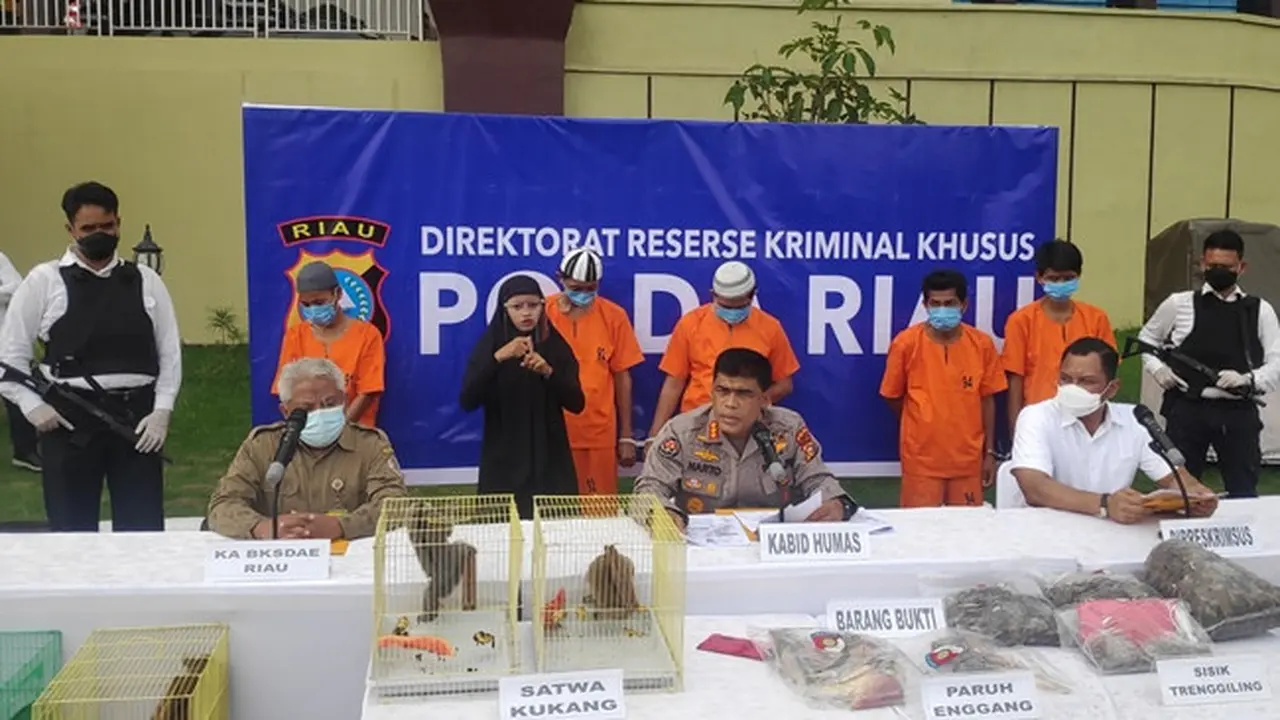 Konferensi pers pengungkapan penjualan sisik trenggiling di Polda Riau.