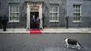 Larry the Cat (depan) berjalan melewati Perdana Menteri Inggris Keir Starmer (kedua kiri) saat menyambut Presiden Indonesia Prabowo Subianto untuk pertemuan mereka di Downing Street di pusat kota London pada 20 Januari 2026. Presiden Republik Indonesia, Prabowo Subianto melakukan pertemuan dengan Perdana Menteri (PM) Inggris, Keir Starmer, di Kantor PM Inggris, Downing Street, London, Selasa (20/01/2026). (JUSTIN TALLIS/POOL/AFP)