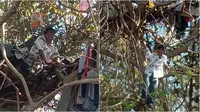 Merasa hidupnya terlalu berat, pria ini memilih tinggal di pohon selama 3 tahun terakhir. (Sumber: Facebook/ครูตะวัน ประทีปแห่งที่ราบสูง)