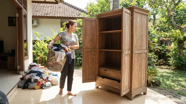 Cara Membasmi Kutu Kayu yang Bersarang di Lemari