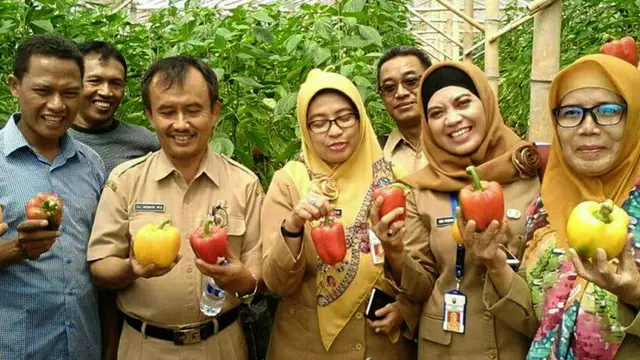 Salam Pagi