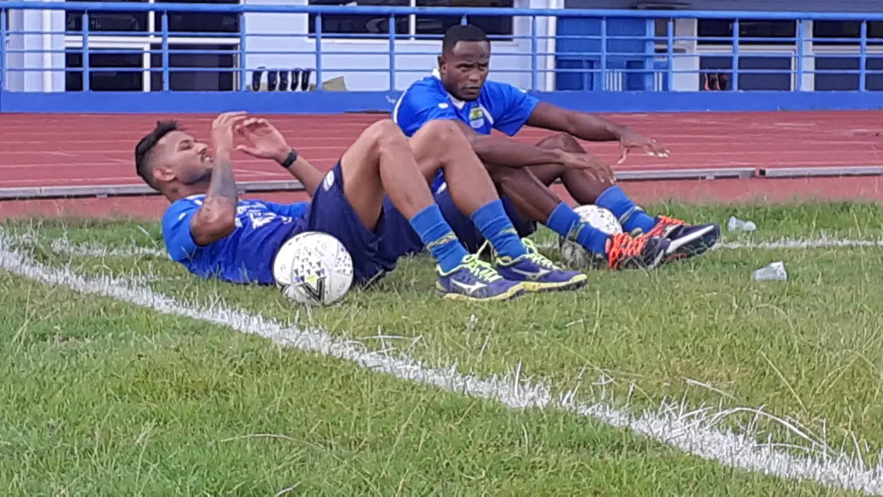 Wander Luiz dan Joel Vinicius, Persib Bandung