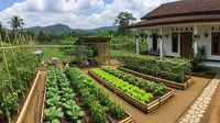 8 Model Kebun dan Peternakan Mini yang Bisa Jadi Penghasilan Tambahan di Rumah