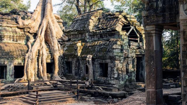 Ta Prohm Temple