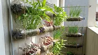 12 Kebun Sayur Mini Vertikal di Balkon Sempit, Simak Pilihan Jenis Sayurannya
