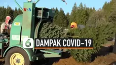 dampak covid