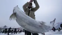 Seorang pria menangkap ikan trout di sungai yang membeku selama kontes menangkap ikan trout di Hwacheon, Korea Selatan, Sabtu (7/1/2023). Kontes ini merupakan bagian dari festival es tahunan yang menarik lebih dari satu juta pengunjung setiap tahun. (AP Photo/Ahn Young-joon)