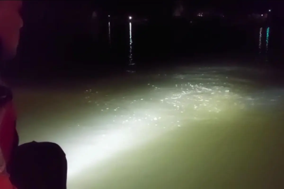 3 bocah tenggelam terseret pasang air laut di Sungai Donan, Cilacap, Jawa Tengah. (Foto: Basarnas Cilacap/Liputan6.com)