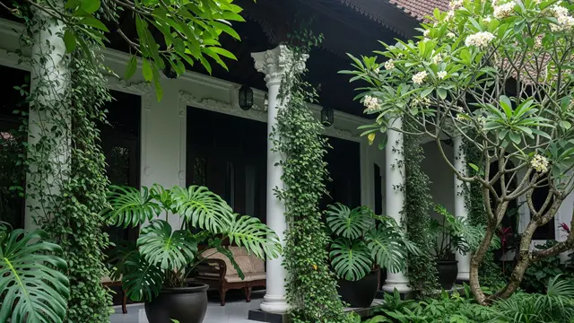 Teras Rumah Klasik Tropis dengan Tanaman Rindang