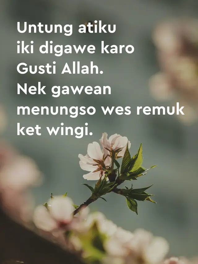 Gambar Kata-Kata Lucu Bahasa Jawa