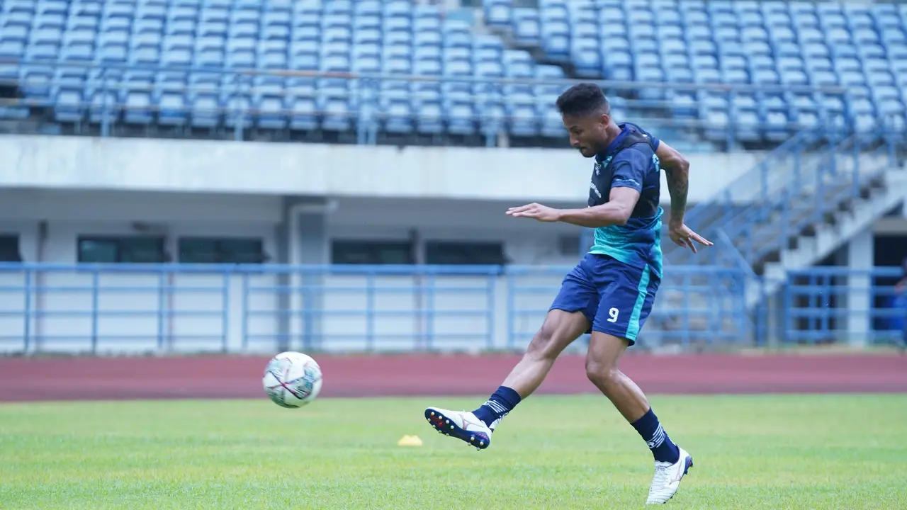 Wander Luiz, Persib Bandung