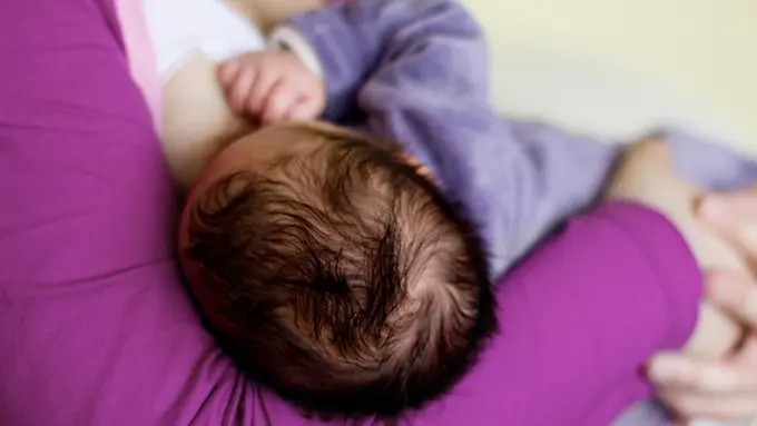 Foto: Copyright ShutterStock.com