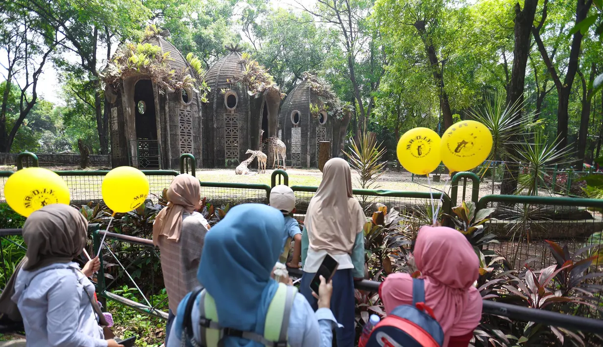 Pengunjung tampak mengelilingi area Ragunan untuk menyaksikan gajah, jerapah, rusa tutul, burung pelikan, dan beragam satwa lainnya. (Kapanlagi.com/Budy Santoso)