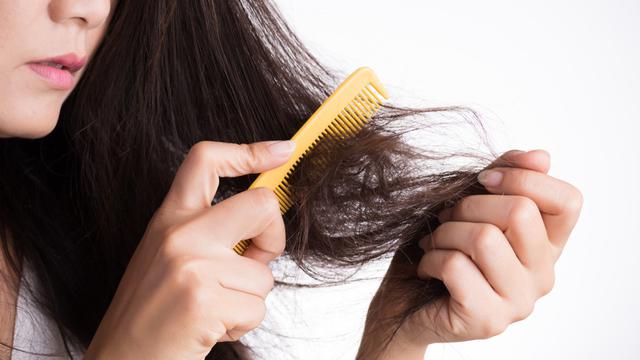Penyebab Rambut Kusut dan Susah Diatur, Yuk Kembalikan Helai Indahnya!