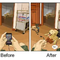 9 Perbedaan sebelum dan sesudah memiliki anjing