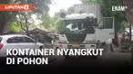 Ikuti Google Maps, Truk Kontainer Nyangkut di Pohon