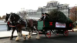 Kereta kuda membawa pohon Natal yang didatangkan langsung dari Newland, North Carolina untuk diberikan kepada Presiden AS, Donald Trump dan First Lady Melania Trump di Gedung Putih, Washington, Senin (19/11). (AP/Manuel Balce Ceneta)