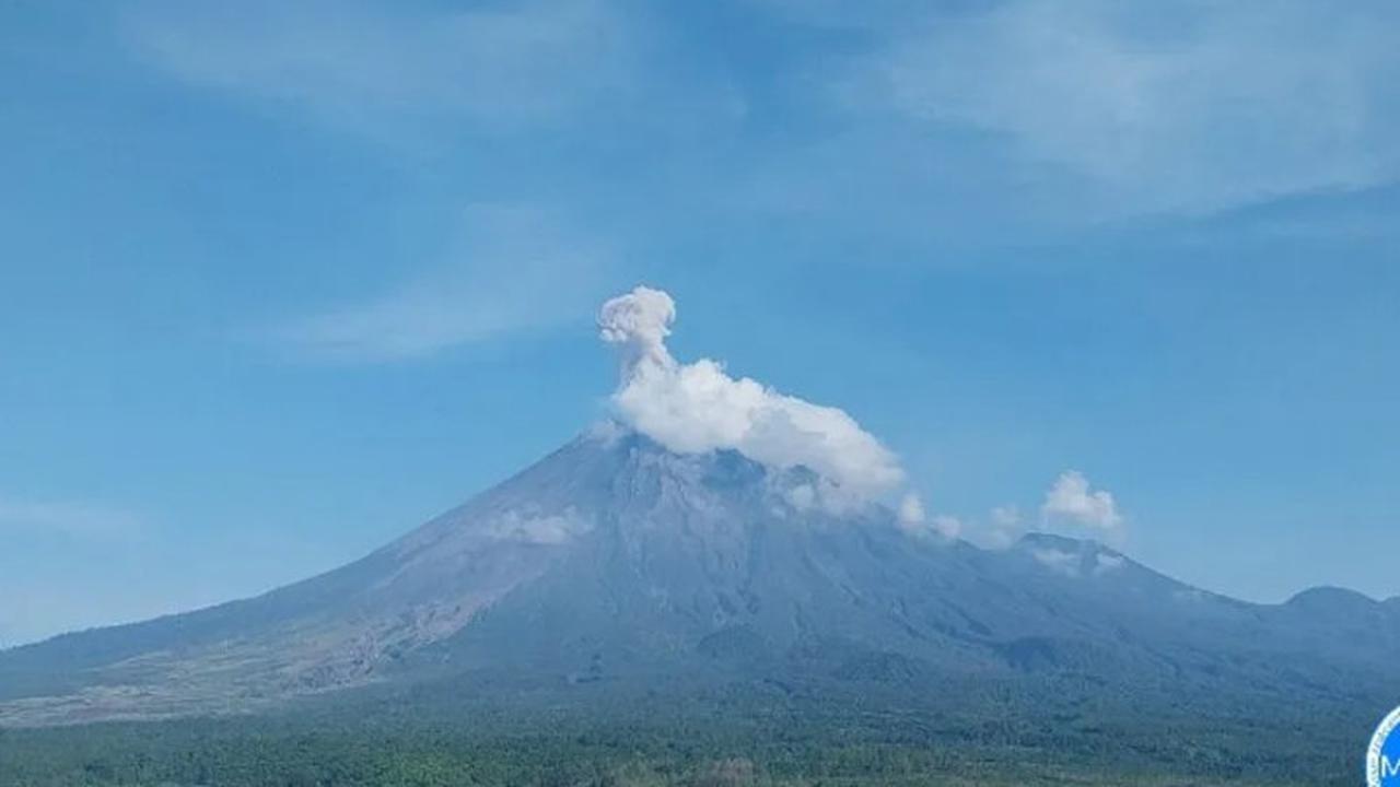 Gunung Semeru erupsi lagi tinggi letusan capai 1.000 meter (Istimewa)