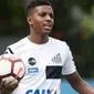 Rodrygo (Istimewa)