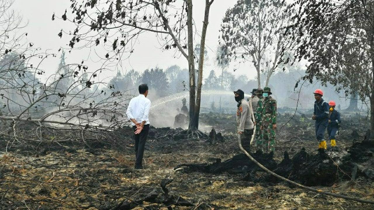 Jokowi melihat proses pemadaman kebakaran lahan di Desa Merbau, Pelalawan,Riau.