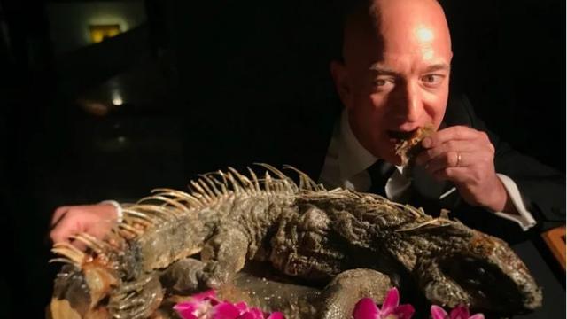Jeff Bezos Santap Iguana Panggang Jadi Menu Makan Malam (foto: bloomberg)