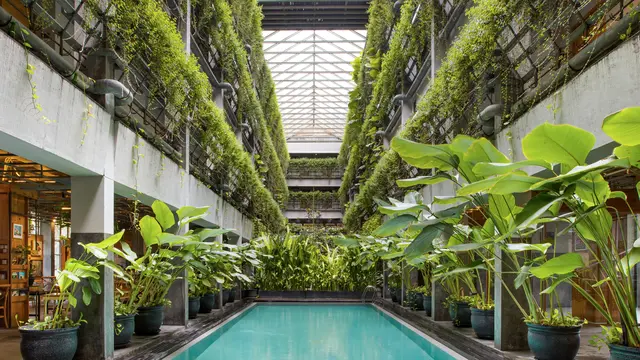 Kolam renang dan suasana di Greenhost Boutique Hotel di Yogyakarta, salah satu hotel dengan konsep ramah lingkungan. (Dok: Greenhost Boutique Hotel)