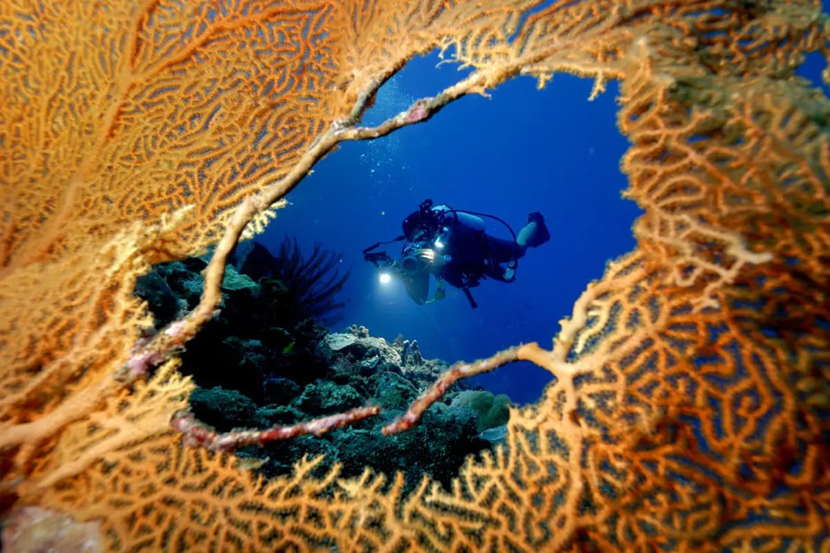 7 Tempat Terbaik untuk Mencicip Eksotisme Bawah Laut Indonesia