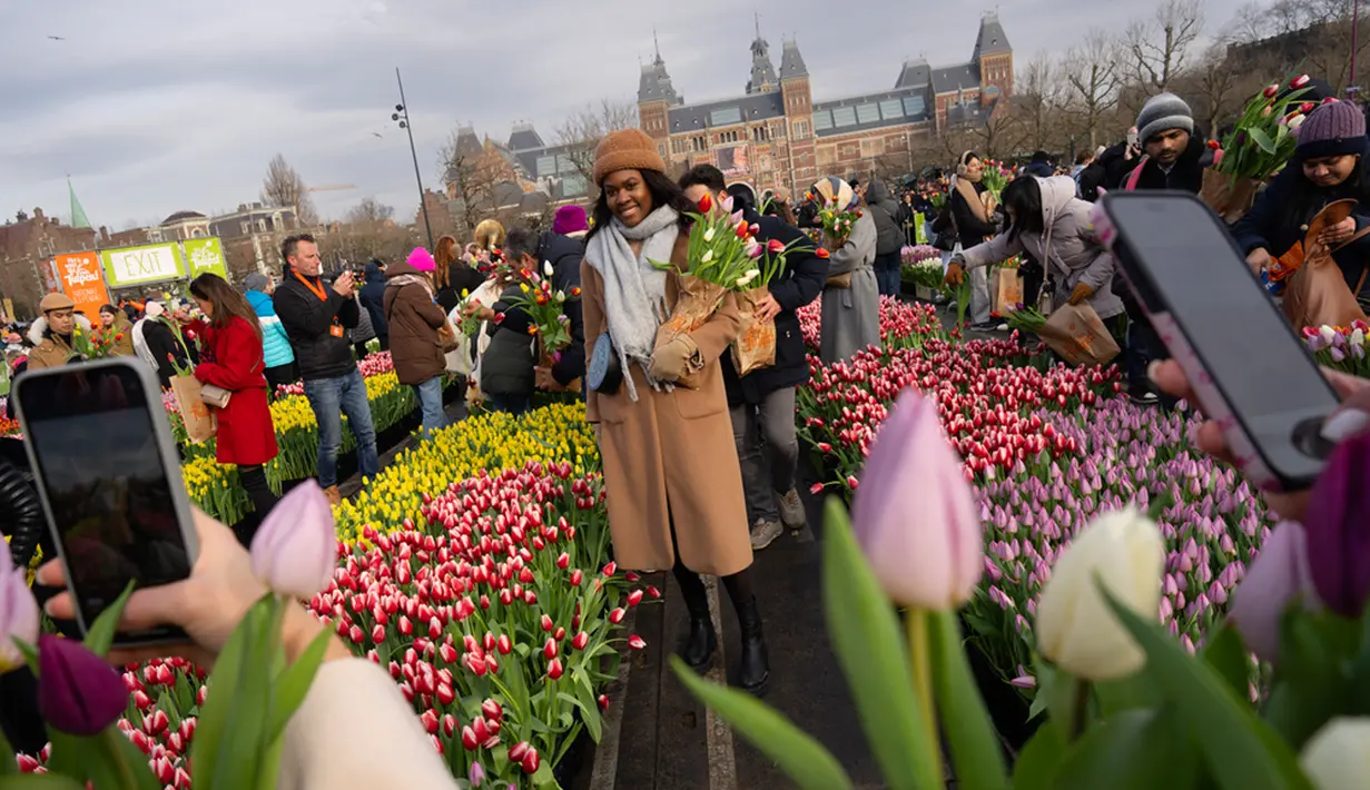 Perayaan Hari Tulip Nasional secara resmi memulai musim tulip di Belanda. (AP Photo/Peter Dejong)
