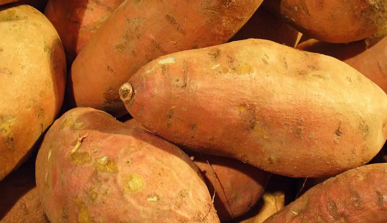 Jika biasanya Anda mengupas kulit ubi sebelum mengolahnya, ada baiknya kebiasaan ini tidak lagi dilakukan. Sebab dalam kulitnya, mengandung berbagai macam nutrisi penting yang dibutuhkan tubuh seperti vitamin C, potasium, dan betakaroten. (Istimewa)