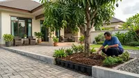 9 Cara Menanam Pohon Buah Dekat Teras agar Akar Tidak Mudah Mengganggu Paving Rumah
