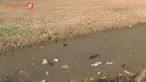 Kemarau yang berkepanjangan membuat Situ Cilodong. Depok, Jawa Barat, Mengalami Kekeringan. Akibatnya kebutuhan air warga sekitar terganggu.
