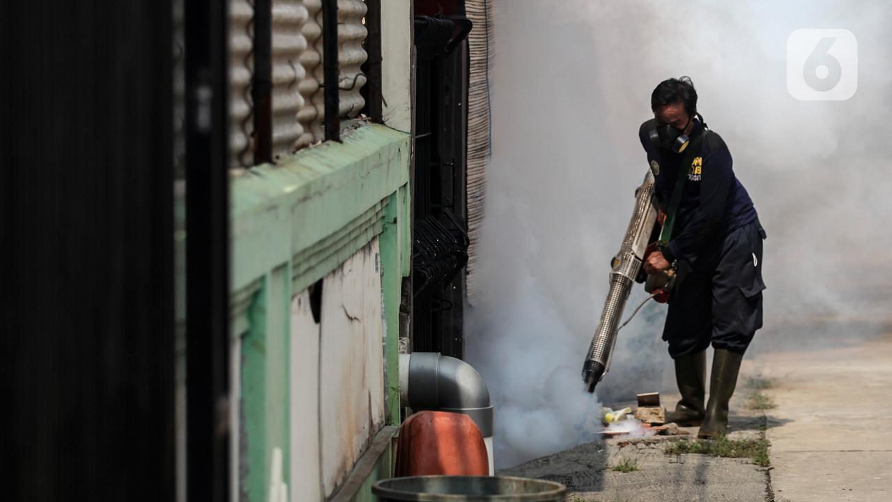 Fogging Cegah Demam Berdarah