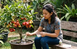 7 Cara Mengerdilkan Pohon Jambu Air agar Cepat Berbuah Meski Ditanam di Pot, Hemat Lahan