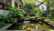 7 Cara Membuat Kolam Ikan Bertingkat untuk Lahan Sempit, Hemat Tempat dan Tetap Menarik