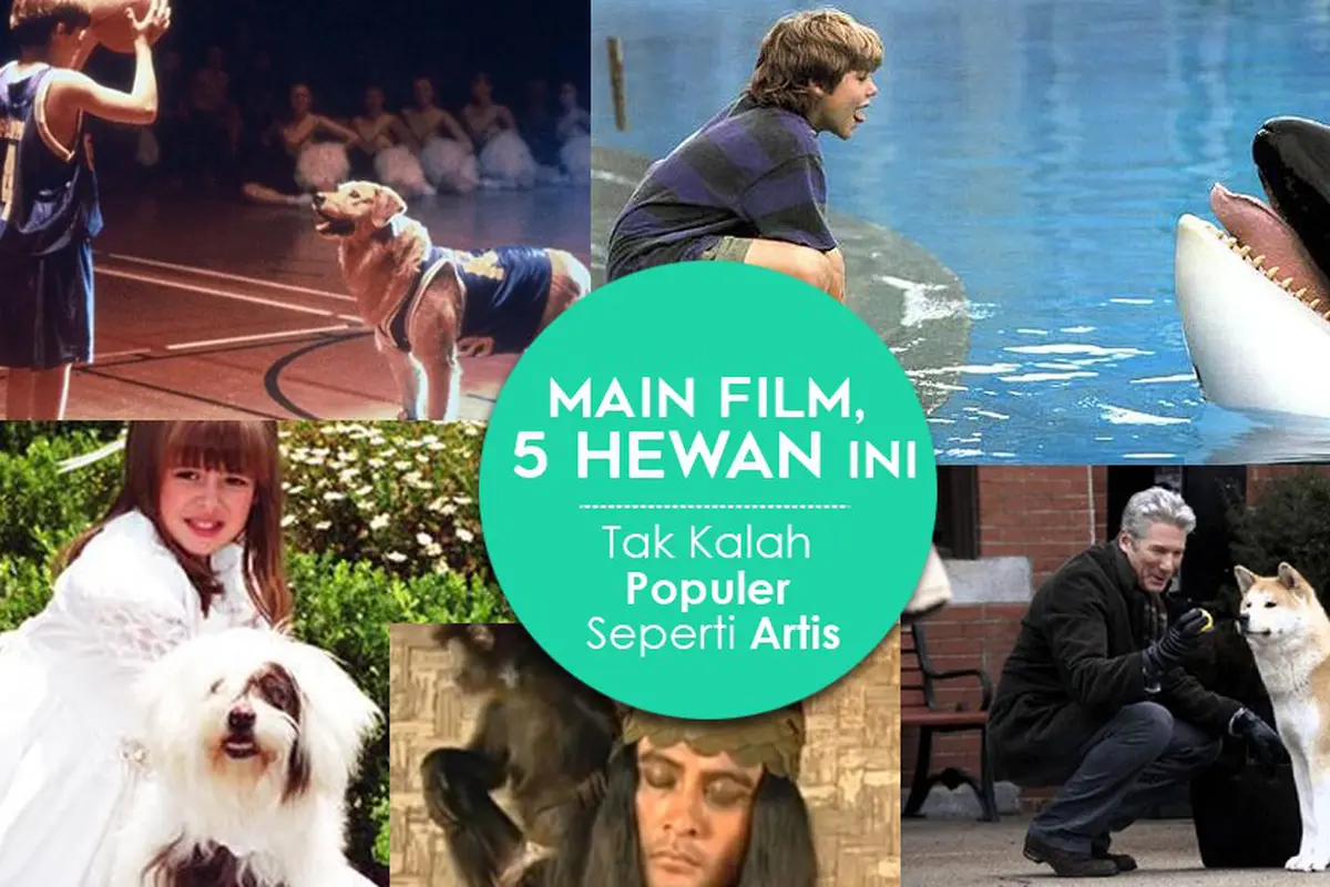 [Bintang] Main Film, 5 Hewan Ini Tak Kalah Populer Seperti Artis