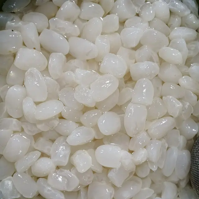kolang kaling