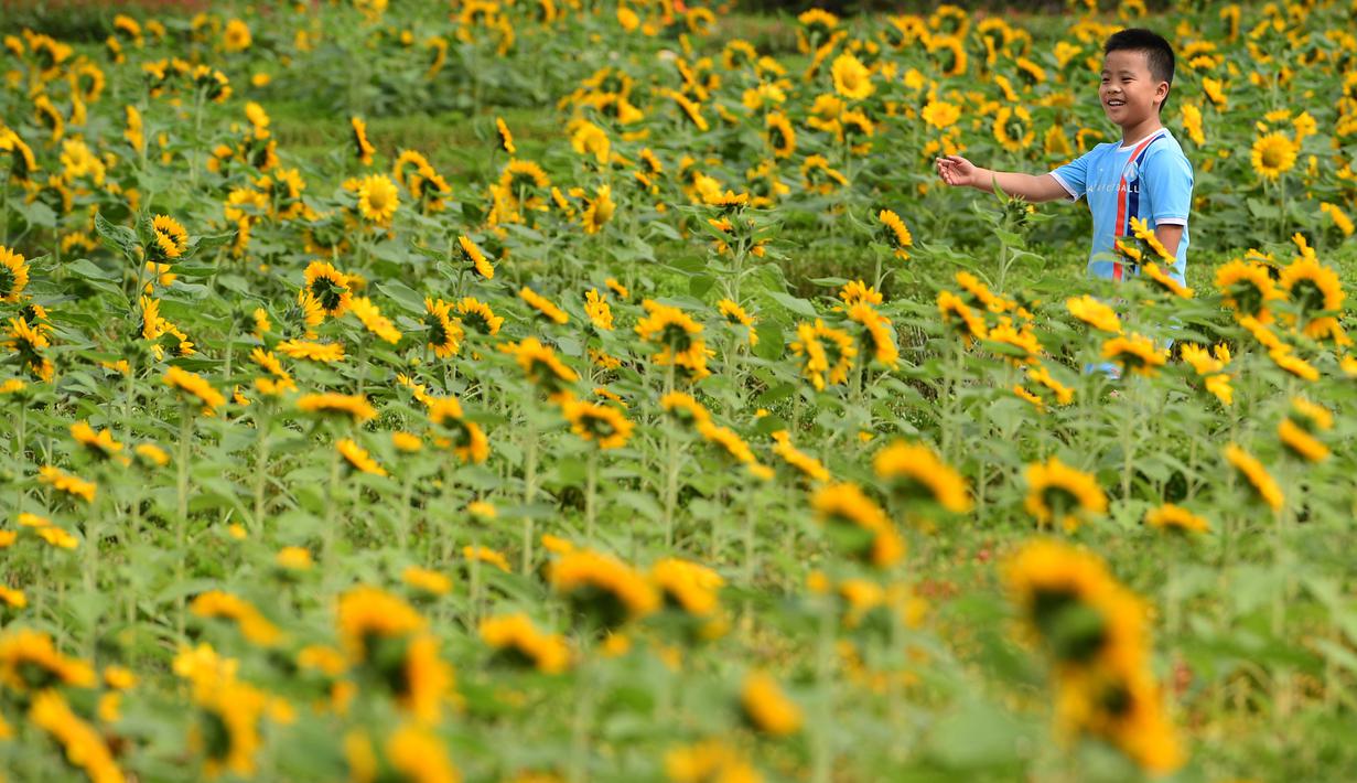 FOTO: Berbagai Kegiatan Warga China di Libur Hari Nasional ...