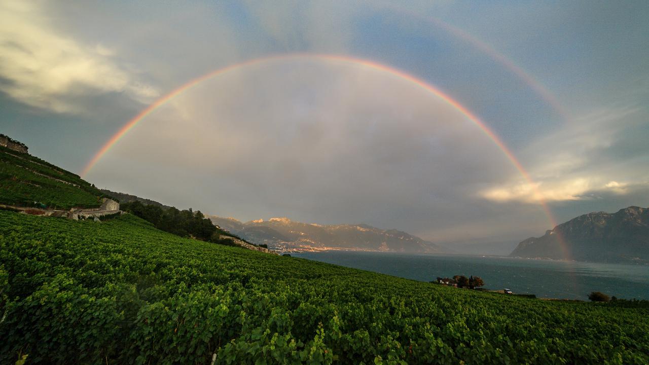 Dilanda Gelombang Panas, Warga Swiss Asyik Berenang di Danau Jenewa