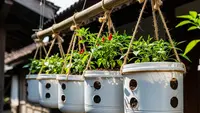 12 Model Kebun Cabai Gantung di Lahan Sempit, Hasil Melimpah